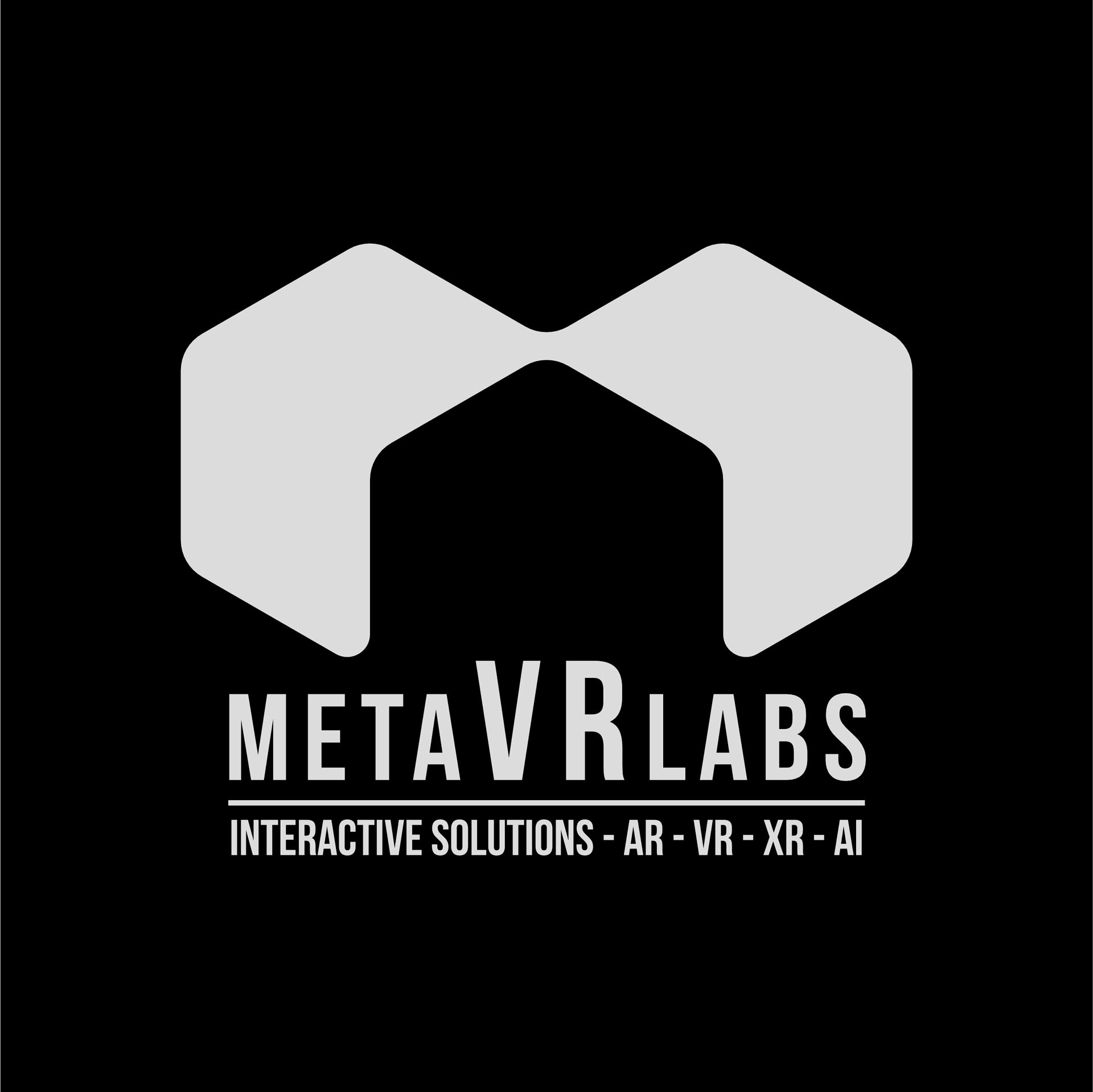 MetaVR Labs